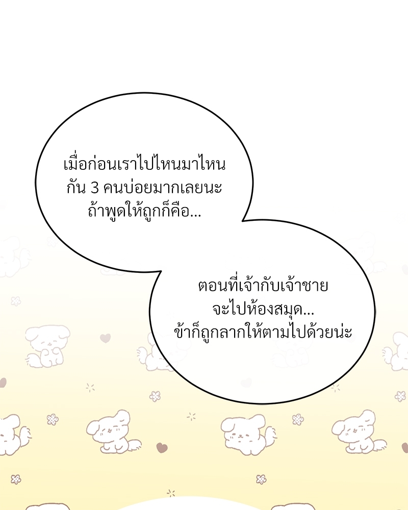 Shadowless Night 24 052